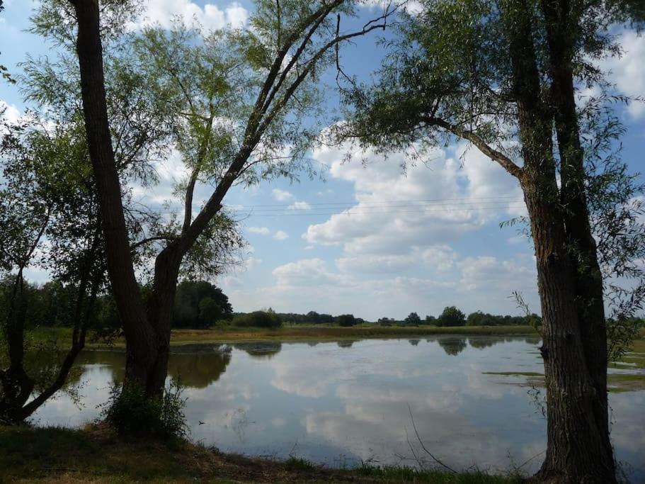 Le Prieure De Loups Bed and Breakfast Saint-Michel-en-Brenne Eksteriør billede